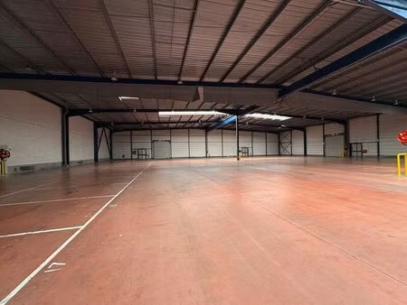 location entrepôt nieppe 59850 7500m²