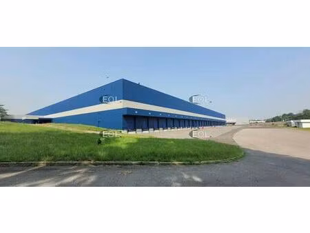 location entrepôt 14 000 m² à 36 842 m²