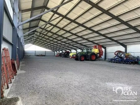 location entrepôt 2 000 m²