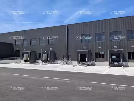 location local d’activités mionnay 01390 3034m² à 35606m²