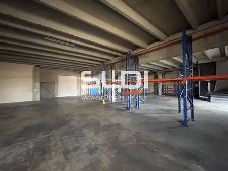 location local d’activités anse 69480 680m²