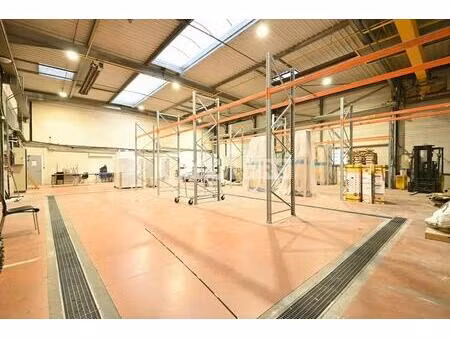 location local d'activités 317 m² à 880 m²