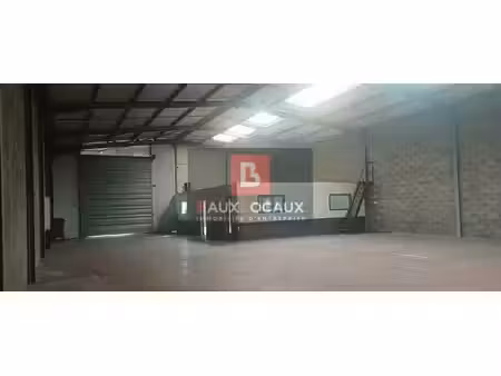 location local d’activités saint-gilles 30800 390m² à 1250m²