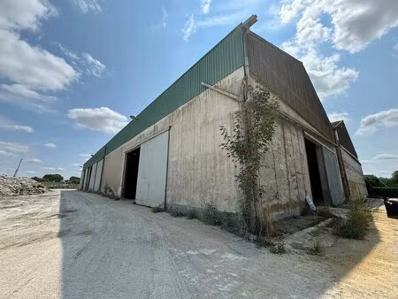 location entrepôt caurel 51110 600m² à 6000m²