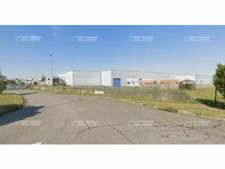 location entrepôt 217 m² à 14 230 m²
