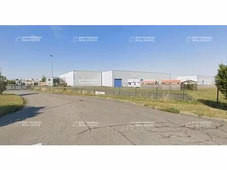 location entrepôt logistique 217 m² à 14 230 m²
