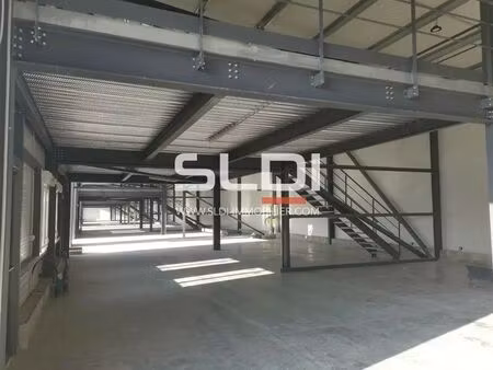 location local d'activités 170 m² à 2 722 m²