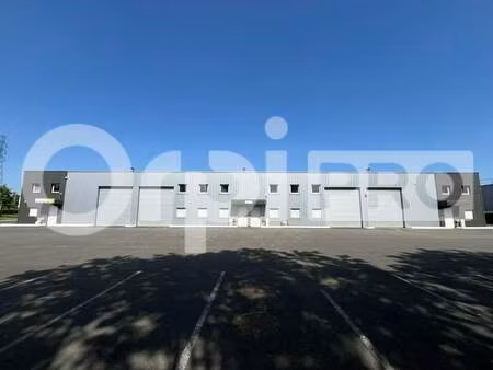 location local d’activités vert saint denis 77240 777m²