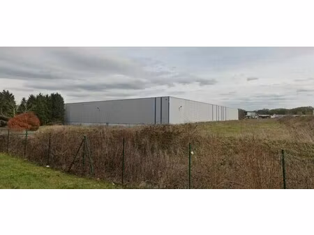 location entrepôt 9 966 m² à 31 375 m²