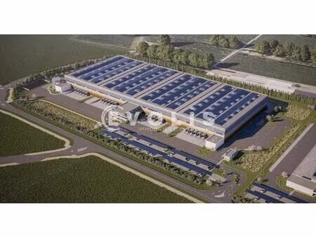 location entrepôt cavaillon 84300 21382m²