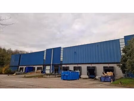 location entrepôt toussieu 69780 4434m² à 13384m²