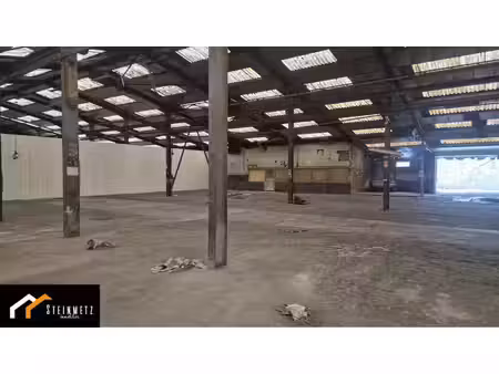 location local d’activités sarreguemines 57200 2500m²