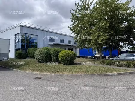 location entrepôt logistique bruguières 31150 6042m²