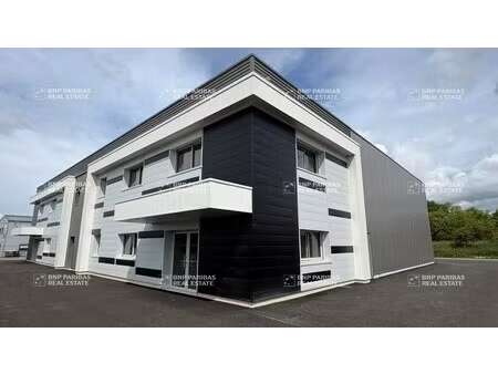 location local d’activités la ville-aux-dames 37700 455m²