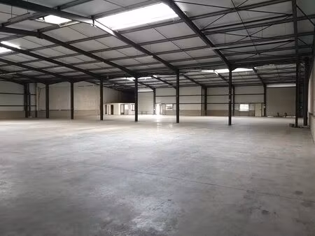location local d’activités saint-alban 31140 1560m²