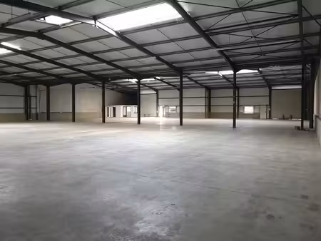 location local d’activités saint alban 31140 840m²