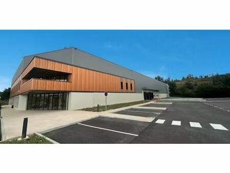 location local d’activités saint laurent de mure 69720 4560m²