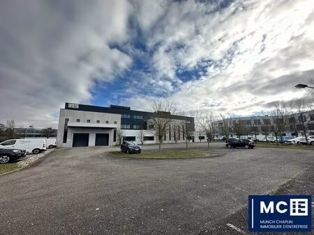 location entrepôt entzheim 67960 133m² à 379m²