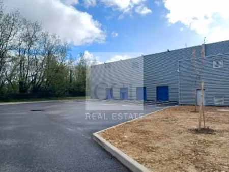 location entrepôt miribel les echets 01700 5000m² à 10750m²