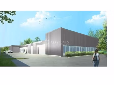 location local d'activités 293 m² à 588 m²