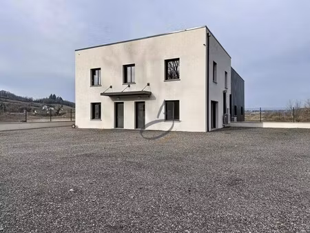 location commerce nivolas vermelle 38300 100m²
