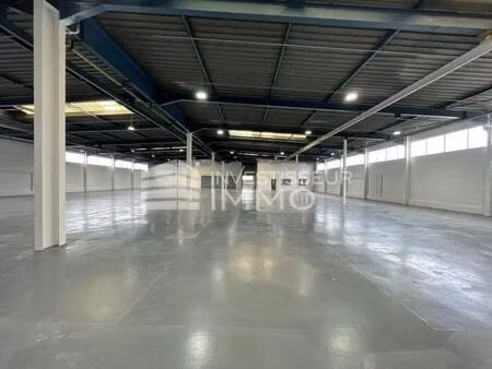 location local d'activités 2 339 m²