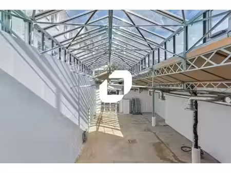 location local d’activités 113m² à 1198m²