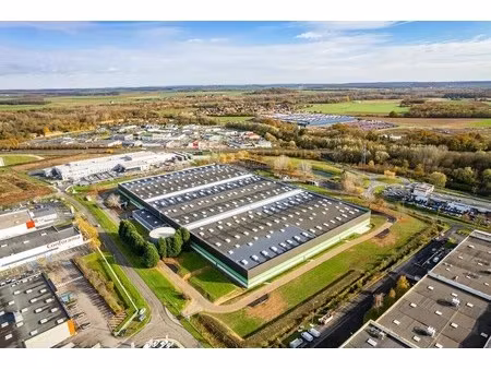 location entrepôt 9 994 m² à 31 224 m²