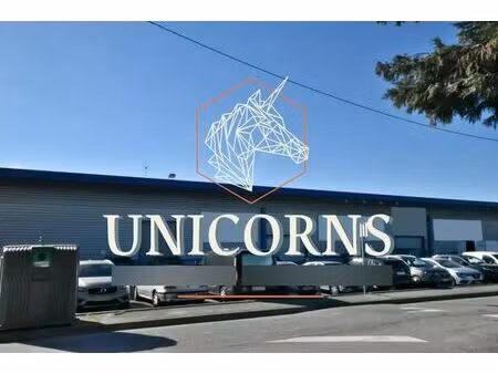 location entrepôt toulouse 31100 458m²