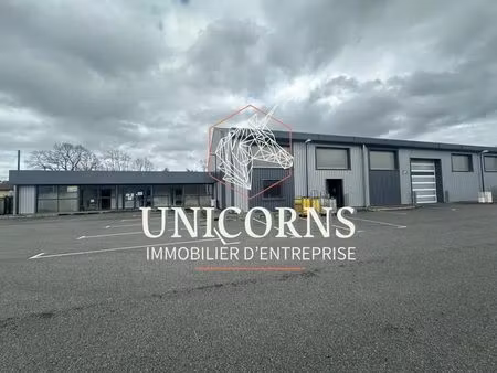 location entrepôt toulouse 31100 571m²