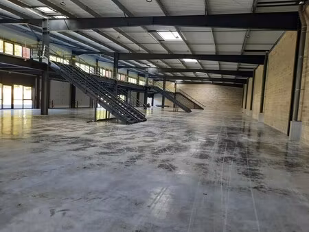 location local d'activités 372 m² à 1 116 m²