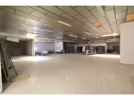location entrepôt chalon-sur-saône 71100 285m²