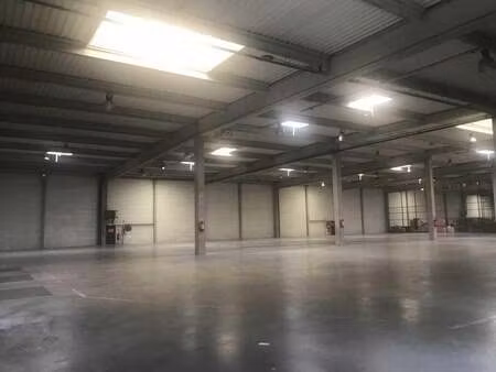 location entrepôt 3 719 m²