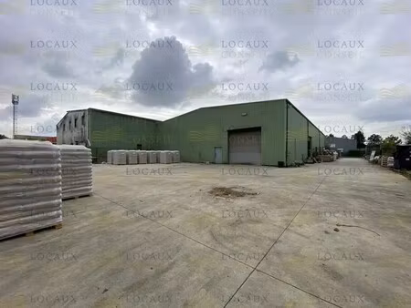 location entrepôt 285 m²