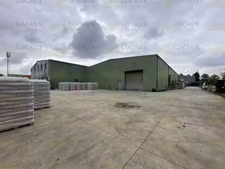 location entrepôt 285m²