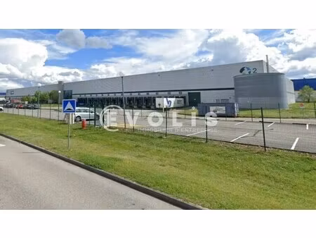 location entrepôt 10 124 m²