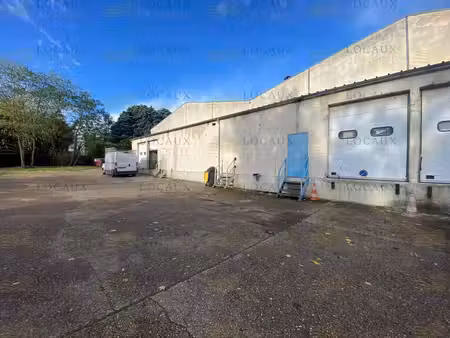 location local d’activités 248m²