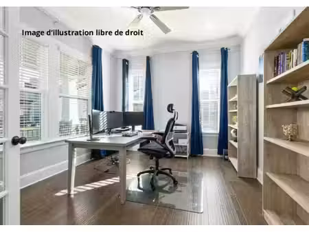location bureaux ternay 69360 77m²