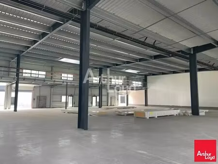 location local d'activités 331 m²