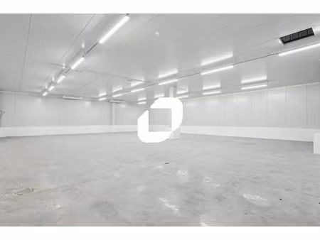 location local d’activités thiais 94320 2517m²