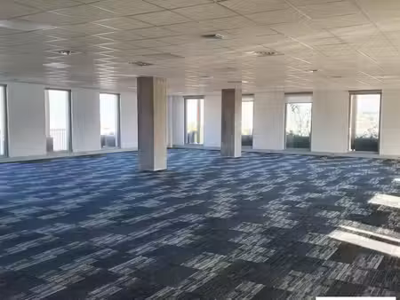 location bureaux échirolles 38130 200m² à 512m²