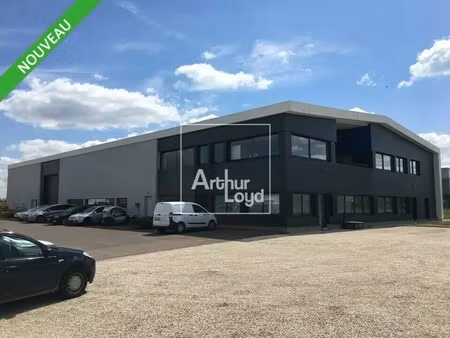 location bureaux 295 m²