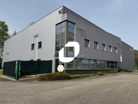 location local d’activités la wantzenau 67610 3368m²