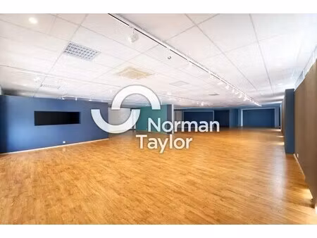 vente commerce theza 66200 225m² à 450m²