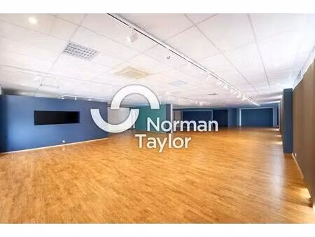 vente commerce theza 66200 225m² à 450m²