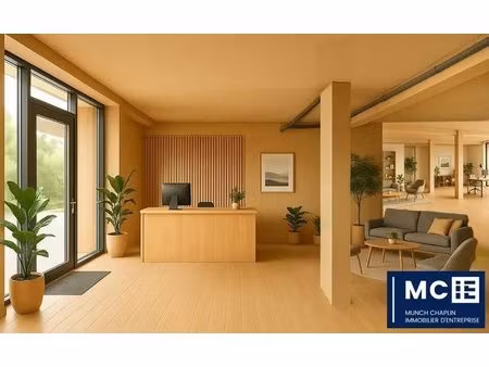 location commerce strasbourg 67000 99m² à 374m²