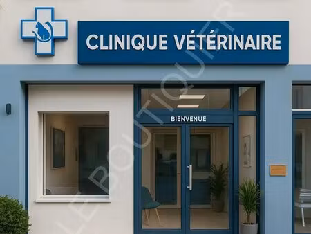 vente commerce 250 m²