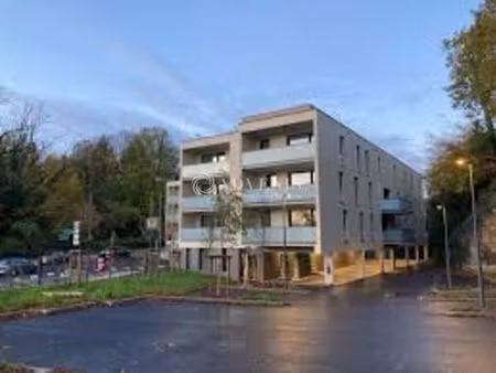 vente commerce nancy 54000 114m²
