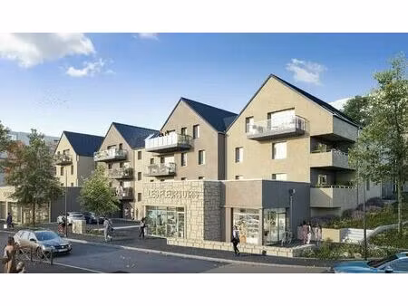 vente commerce ploufragan 22440 76m²