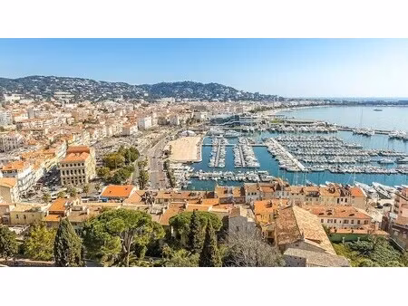 vente commerce cannes 06400 133m²